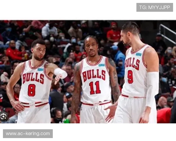 公牛技战术研讨：进攻回合的选择更趋理性